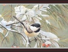 We SnF 025 BatemanR WinterSong  Chickadee. Bateman, 