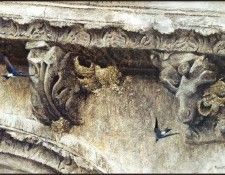 lrsRBB081BatemanRobert-HouseMatinsandGargoyles. Bateman, 