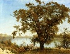 Bierstadt Albert A View from Sacramento. , 