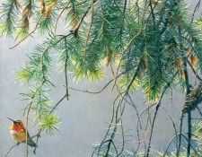 Birds 04 Rufous Hummingbird, 2002 Robert Bateman sqs. Bateman, 