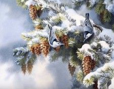 Bourdet, Susan - First Snowfall - Nuthatch (end. Bourdet, 