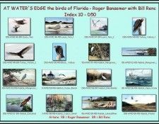 D50-At Waters Edge-Index 10. Bansemer, 