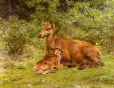 Bonheur Rosa Doe And Fawn In A Thicket. , -