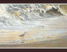 We SnF 020 BatemanR WilletontheShore. Bateman, 