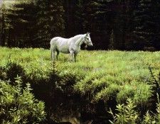 Imufy WWSA AS Bateman 07 White Horse. Bateman, 