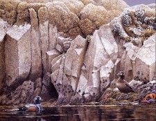 Bateman, Robert - Tidal Zone (end. Bateman, 
