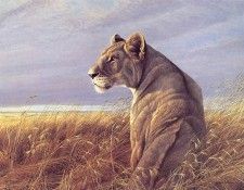 lrs Bateman R Lionessin Red Oats. Bateman, 