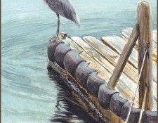 lrsRBB005BatemanRobert-GreatBlueHeron. Bateman, 