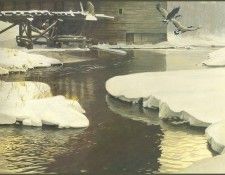 lrsRBB063BatemanRobert-MillPondCanadaGeese. Bateman, 