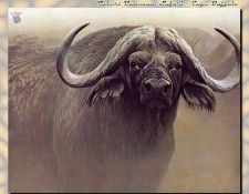 ZaneScans RB Safari SWD 007. Bateman, 