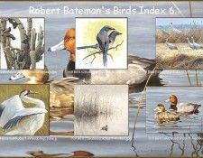 lrsrBatemanBirdsIdx06. Bateman, 