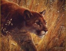lrsBendersCarl-PredatorsWalk. , 