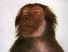 art 283. , 