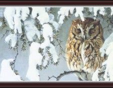 We SnF 003 BatemanR AsleepintheHemlock--ScreechOwl. Bateman, 