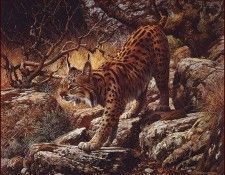 lrsBendersCarl-GhostlyQuietSpanLynx. , 