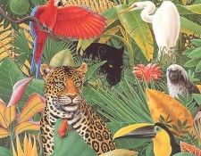 bs-CharlesLynnBragg-JungleStory. , 