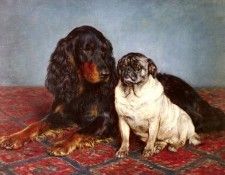 Bache Otto A Spaniel And A Pug. , 