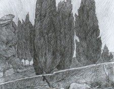 44074. , 
