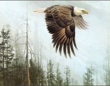 lrsBatemanRobert-MajestyontheWing. Bateman, 