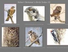 lrsrBatemanBirdsIdx10. Bateman, 