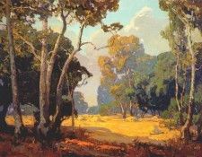 bischoff summer, a california woodland. , 
