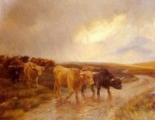 Barker Wright Highland Cattle. , 