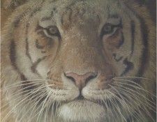 RobertBateman TigerAtDusk ec. Bateman, 