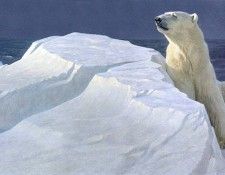 RobertBateman LongLight PolarBear ec. Bateman, 
