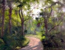 gentle breezes csg026 back woods road. ,  