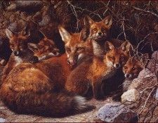 lrsBendersCarl-FullHouseFoxFamily. , 