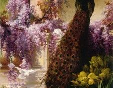 A Peacock And Doves In A Garden. Bidau, 