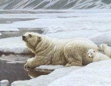 kb Bateman Arctic Family. Bateman, 