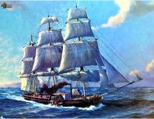 Imufy WWSA AS RotS 05 Savannah. Bateman, 