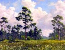 gentle breezes csg025 poinciana boulevard. ,  