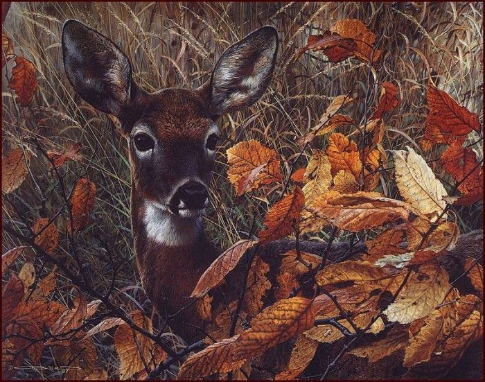 lrsBendersCarl-AutumnLady. , 