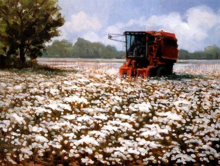 Aaw061 Ron Bausch Cottonfield sqs. , 