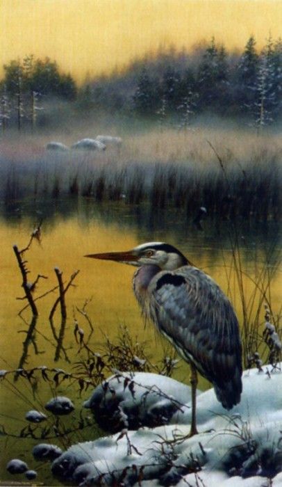 Carl Brenders - Late Snow - Great Blue Heron, De. Brenders, 