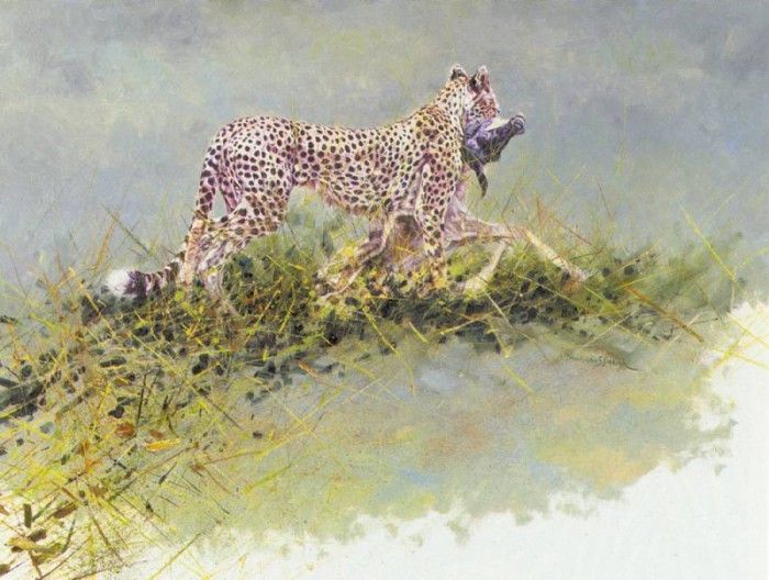 Bamrah Dharbinder S Life In The Serengeti Cheetah. Bamrah, Dharbinder 
