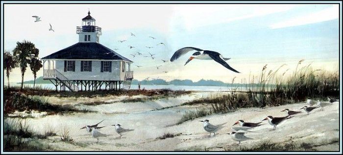 D50-AWE154-RB-Habitat Ocean Beaches. Bansemer, 