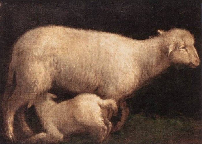BASSANO Jacopo Sheep And Lamb. ,    