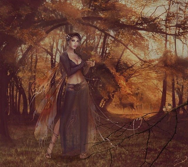 palmsofbutterflies. , 
