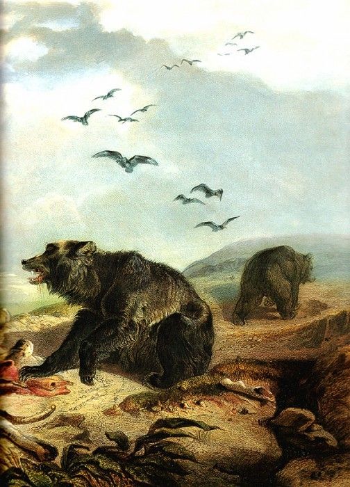 Tna 0031 Hunting the Grizzly Bear-[R] KarlBodmer, 1834 sqs. , 