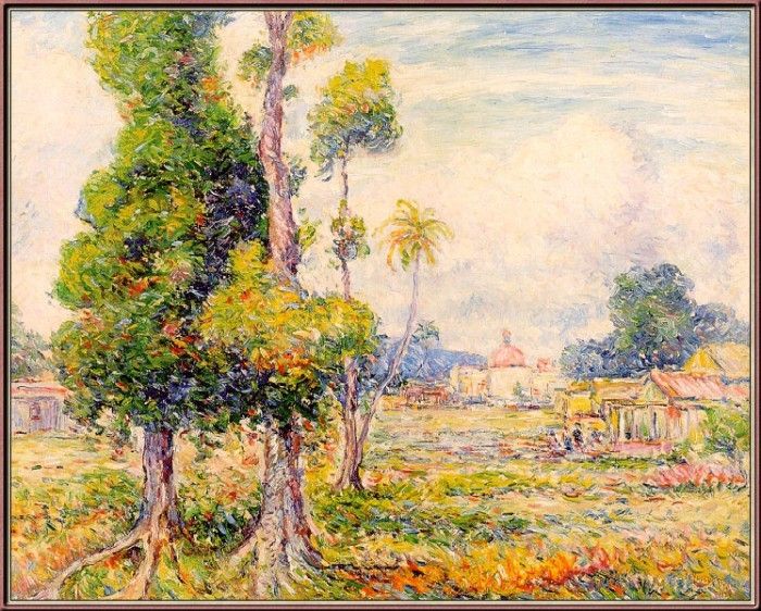 Beal Mango-Trees-Rio-Piedras-sj. , 