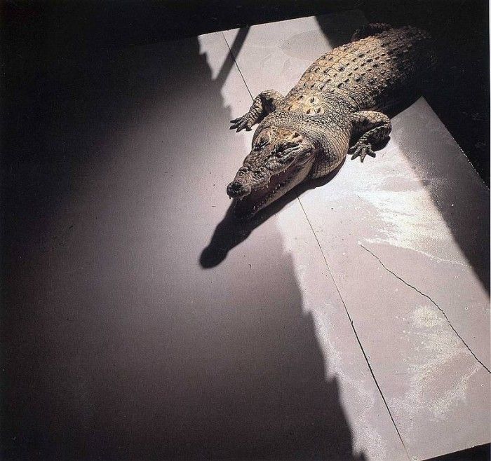 art 277. , 