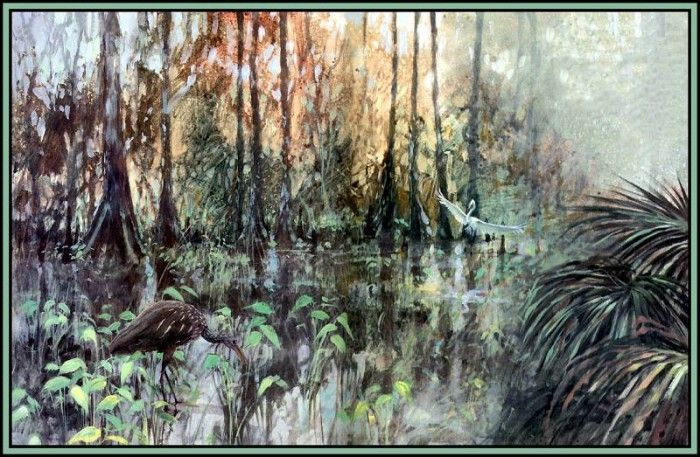D50-AWE158-RB-Habitat Cyprus Swamps. Bansemer, 