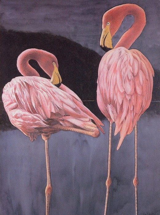 bs-na- Allen Blagden- Flamingoes- I I. , 