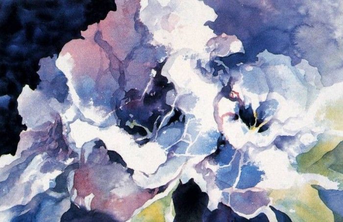 Stephen Blackburn - Gloxinia, De. , 