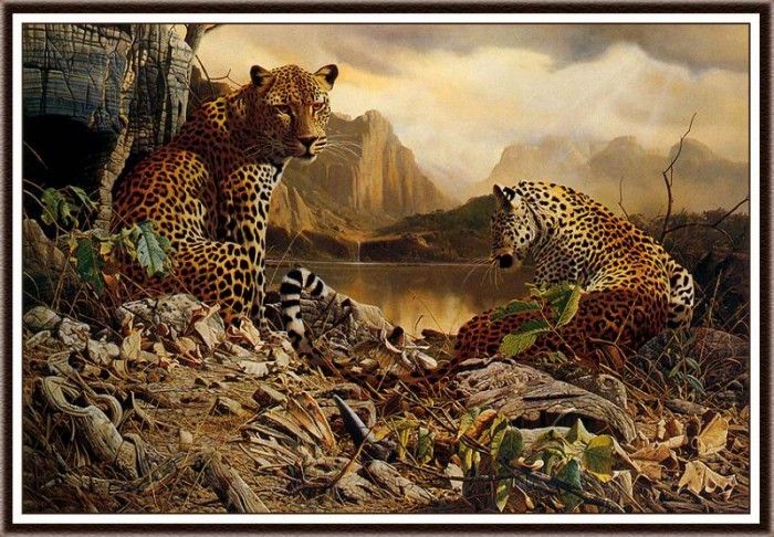 bs-na- Craig John Bone- Year Of The Leopard. ,  