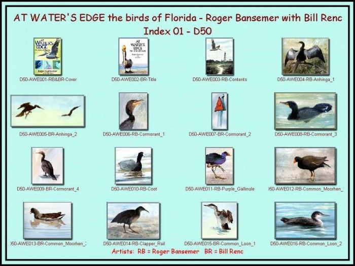 D50-At Waters Edge-Index 01. Bansemer, 