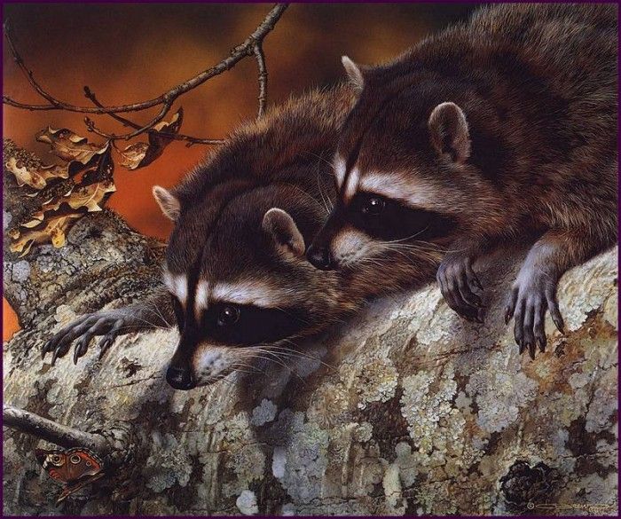 lrsBendersCarl-DoubleTroubleRaccoons. , 